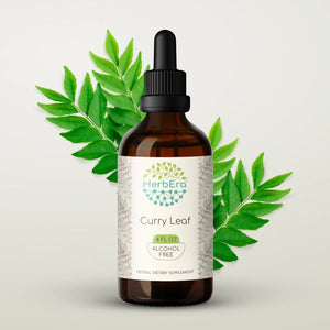 Curry Leaf Tincture herbera Curry Leaf Tincture herbera Herbal Extract