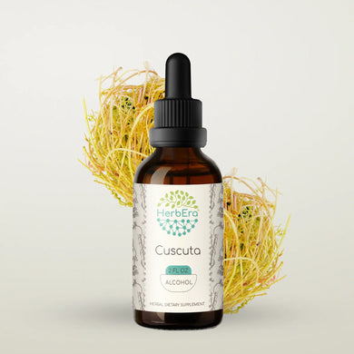 Cuscuta Tincture herbera Cuscuta Tincture herbera Herbal Extract