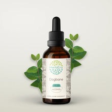 Load image into Gallery viewer, Dogbane Tincture herbera Dogbane Tincture herbera Herbal Extract