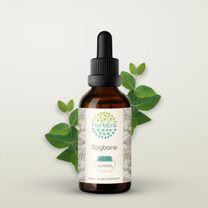 Dogbane Tincture herbera Dogbane Tincture herbera Herbal Extract