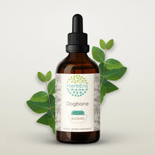 Load image into Gallery viewer, Dogbane Tincture herbera Dogbane Tincture herbera Herbal Extract