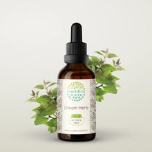 Load image into Gallery viewer, Dream Herb Tincture herbera Dream Herb Tincture herbera Herbal Extract