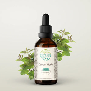 Dream Herb Tincture herbera Dream Herb Tincture herbera Herbal Extract