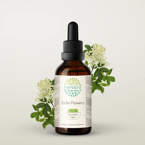 Elder Flowers Tincture herbera Elder Flowers Tincture herbera Herbal Extract