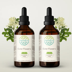 Elder Flowers Tincture herbera Elder Flowers Tincture herbera Herbal Extract