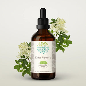 Elder Flowers Tincture herbera Elder Flowers Tincture herbera Herbal Extract