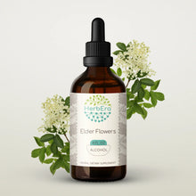 Load image into Gallery viewer, Elder Flowers Tincture herbera Elder Flowers Tincture herbera Herbal Extract