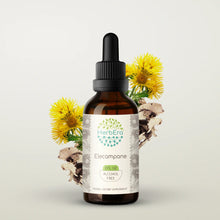 Load image into Gallery viewer, Elecampane Tincture herbera Elecampane Tincture herbera Herbal Extract