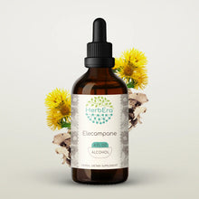 Load image into Gallery viewer, Elecampane Tincture herbera Elecampane Tincture herbera Herbal Extract