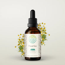 Load image into Gallery viewer, Feverfew Tincture herbera Feverfew Tincture herbera Herbal Extract