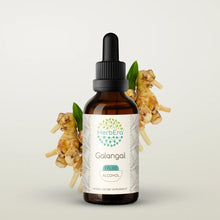 Load image into Gallery viewer, Galangal Tincture herbera Galangal Tincture herbera Herbal Extract