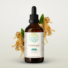 Load image into Gallery viewer, Galangal Tincture herbera Galangal Tincture herbera Herbal Extract