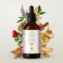 Load image into Gallery viewer, Genesis Tincture herbera Genesis Tincture herbera Formula