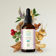 Load image into Gallery viewer, Genesis Tincture herbera Genesis Tincture herbera Formula