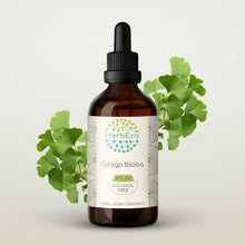 Load image into Gallery viewer, Ginkgo Biloba Tincture herbera Ginkgo Biloba Tincture herbera Herbal Extract