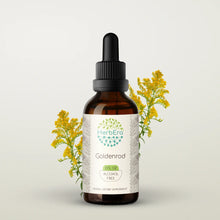 Load image into Gallery viewer, Goldenrod Tincture herbera Goldenrod Tincture herbera Herbal Extract