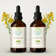 Load image into Gallery viewer, Goldenrod Tincture herbera Goldenrod Tincture herbera Herbal Extract