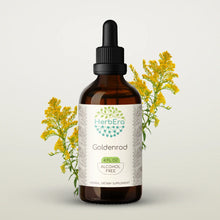 Load image into Gallery viewer, Goldenrod Tincture herbera Goldenrod Tincture herbera Herbal Extract