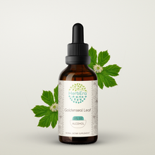 Load image into Gallery viewer, Goldenseal Leaf  Tincture