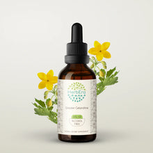 Load image into Gallery viewer, Greater Celandine Tincture herbera Greater Celandine Tincture herbera Herbal Extract