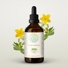 Load image into Gallery viewer, Greater Celandine Tincture herbera Greater Celandine Tincture herbera Herbal Extract