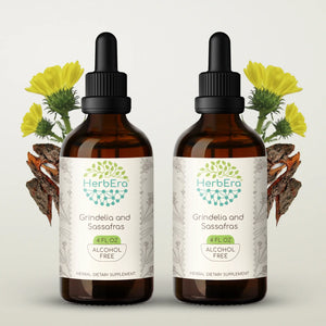 Grindelia and Sassafras Tincture herbera Grindelia and Sassafras Tincture herbera Herbal Extract