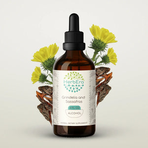 Grindelia and Sassafras Tincture herbera Grindelia and Sassafras Tincture herbera Herbal Extract