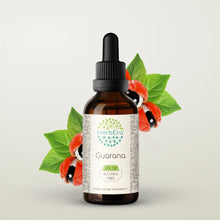 Load image into Gallery viewer, Guarana Tincture herbera Guarana Tincture herbera Herbal Extract