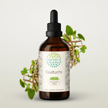 Load image into Gallery viewer, Guduchi Tincture herbera Guduchi Tincture herbera Herbal Extract