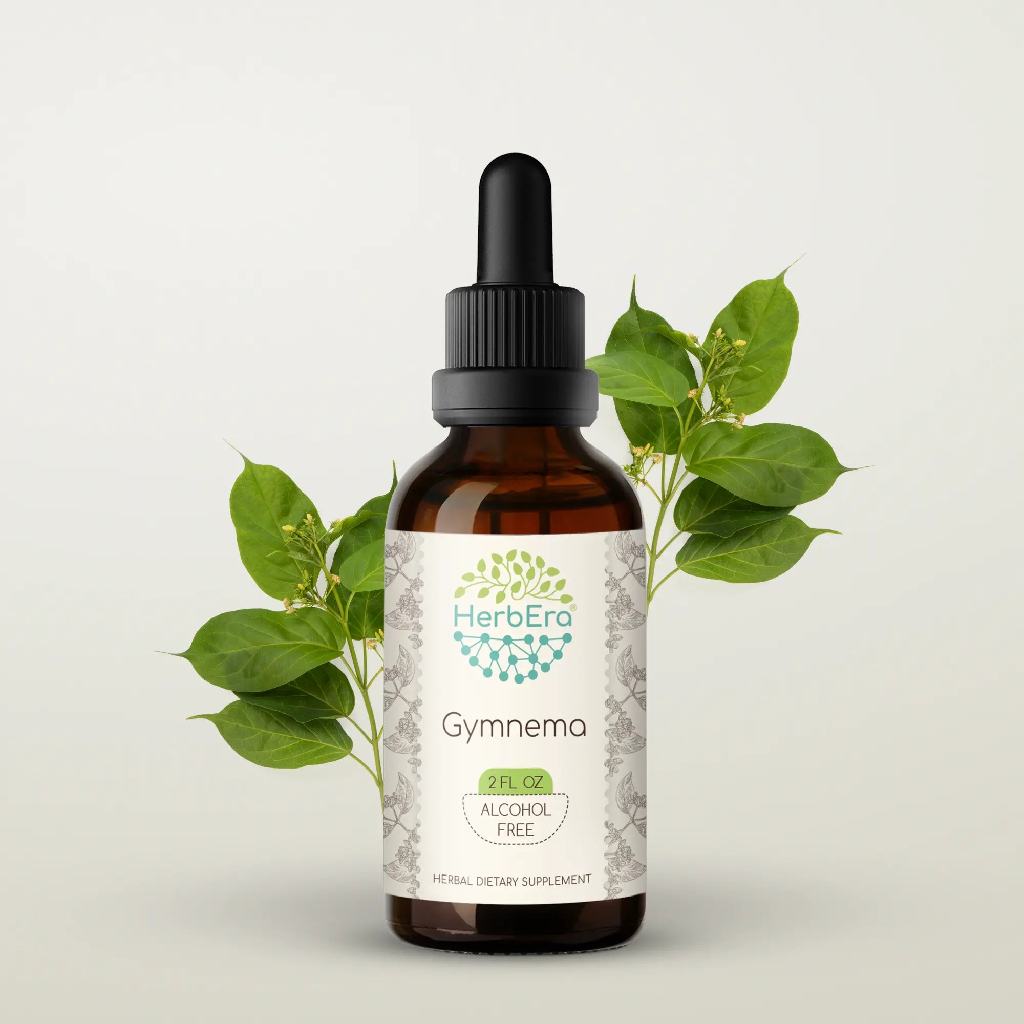 Gymnema Tincture