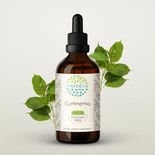 Load image into Gallery viewer, Gymnema Tincture herbera Gymnema Tincture herbera Herbal Extract