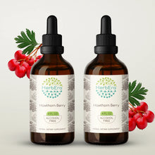 Load image into Gallery viewer, Hawthorn Berry Tincture herbera Hawthorn Berry Tincture herbera Herbal Extract