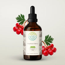 Load image into Gallery viewer, Hawthorn Berry Tincture herbera Hawthorn Berry Tincture herbera Herbal Extract