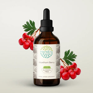 Hawthorn Berry Tincture herbera Hawthorn Berry Tincture herbera Herbal Extract