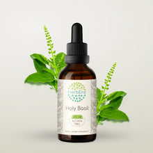 Load image into Gallery viewer, Holy Basil Tincture herbera Holy Basil Tincture herbera Herbal Extract