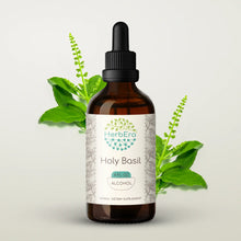 Load image into Gallery viewer, Holy Basil Tincture herbera Holy Basil Tincture herbera Herbal Extract