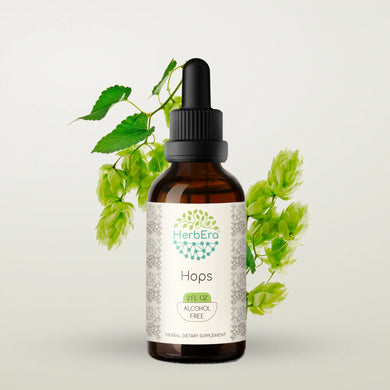 Hops Tincture herbera Hops Tincture herbera Herbal Extract