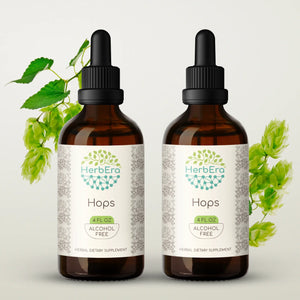 Hops Tincture herbera Hops Tincture herbera Herbal Extract