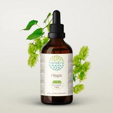 Load image into Gallery viewer, Hops Tincture herbera Hops Tincture herbera Herbal Extract