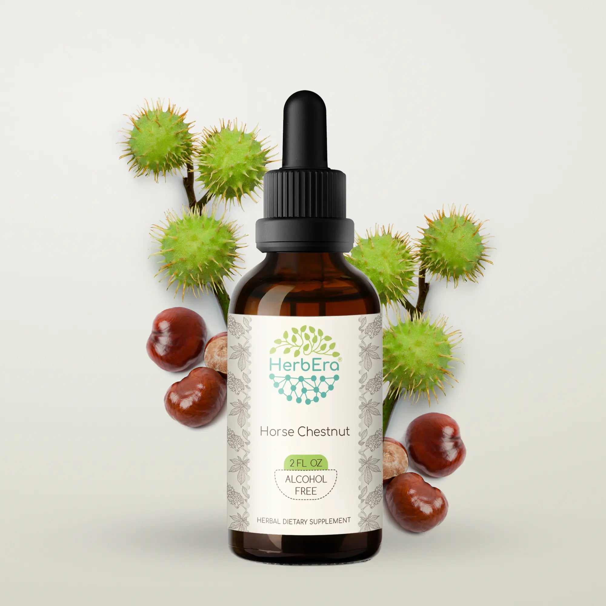 Horse Chestnut Tincture
