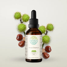 Load image into Gallery viewer, Horse Chestnut Tincture herbera Horse Chestnut Tincture herbera Herbal Extract