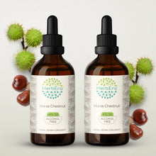 Load image into Gallery viewer, Horse Chestnut Tincture herbera Horse Chestnut Tincture herbera Herbal Extract