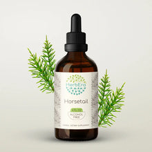 Load image into Gallery viewer, Buy Horsetail Tincture online - HerbEra