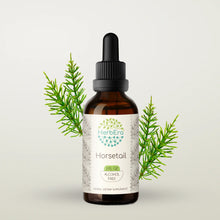 Load image into Gallery viewer, Horsetail Tincture herbera Horsetail Tincture herbera Herbal Extract