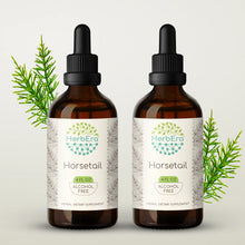 Load image into Gallery viewer, Horsetail Tincture herbera Horsetail Tincture herbera Herbal Extract