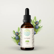 Load image into Gallery viewer, Juniper Tincture herbera Juniper Tincture herbera Herbal Extract