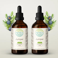 Load image into Gallery viewer, Juniper Tincture herbera Juniper Tincture herbera Herbal Extract