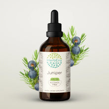 Load image into Gallery viewer, Juniper Tincture herbera Juniper Tincture herbera Herbal Extract