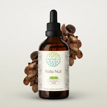 Load image into Gallery viewer, Kola Nut Tincture herbera Kola Nut Tincture herbera Herbal Extract