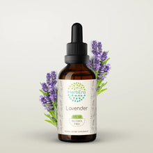 Load image into Gallery viewer, Lavender Tincture herbera Lavender Tincture herbera Herbal Extract